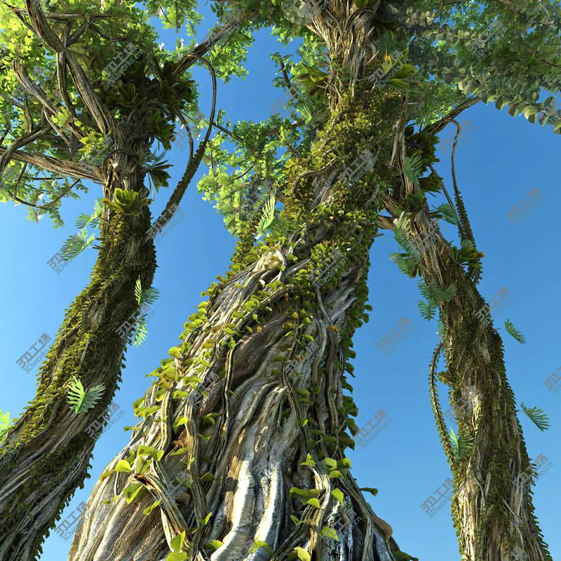 images/goods_img/20210113/Rain Forest ecosystems Pack 10/2.jpg